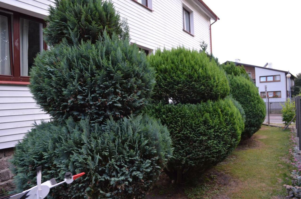 Bursztynowa Komnata Apartment Ustka Ngoại thất bức ảnh